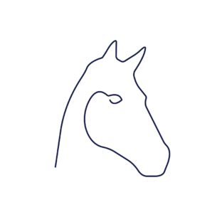 Horse_Category Image
