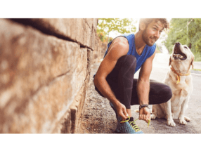 Which joint supplement is right for your pet
