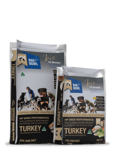 DOG_GROUP_Turkey_HP